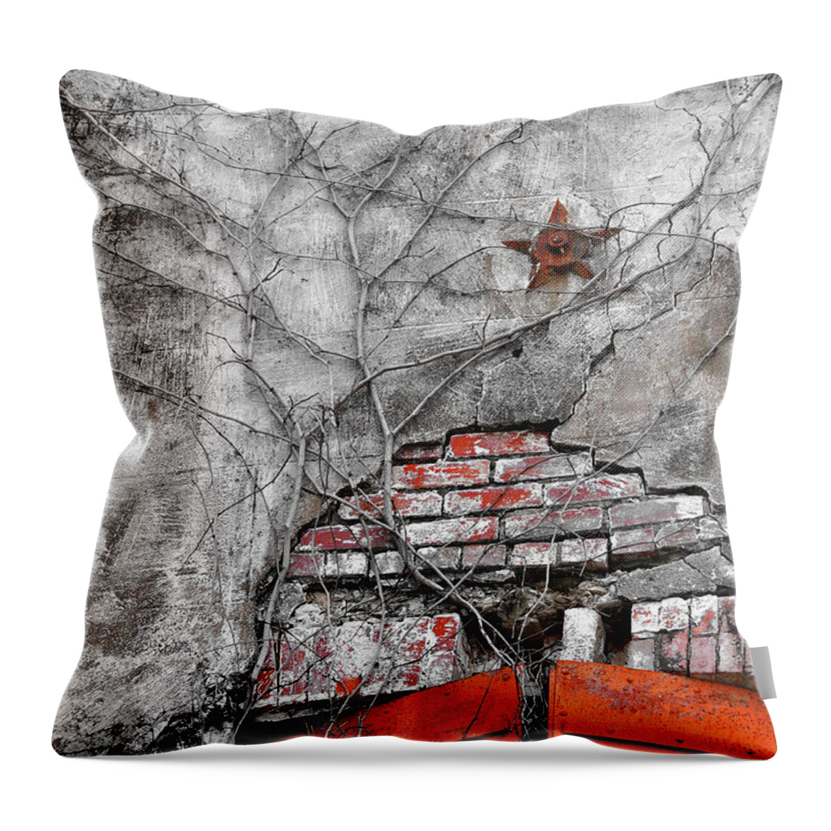 Old Architecture Throw Pillow featuring the photograph History Revealed by Randall Dill