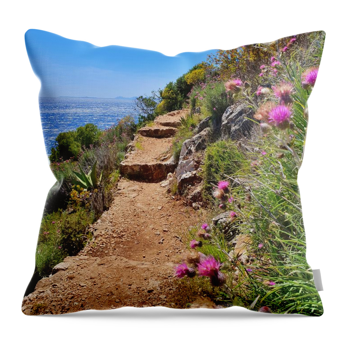 Landscape Throw Pillow featuring the photograph Hitting the Trail by Andrea Whitaker