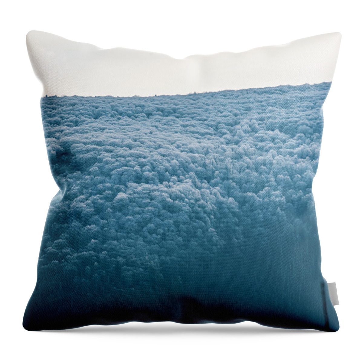 Blue Ridge Throw Pillow featuring the photograph Hoarfrost Blue Mountain by Mark Duehmig