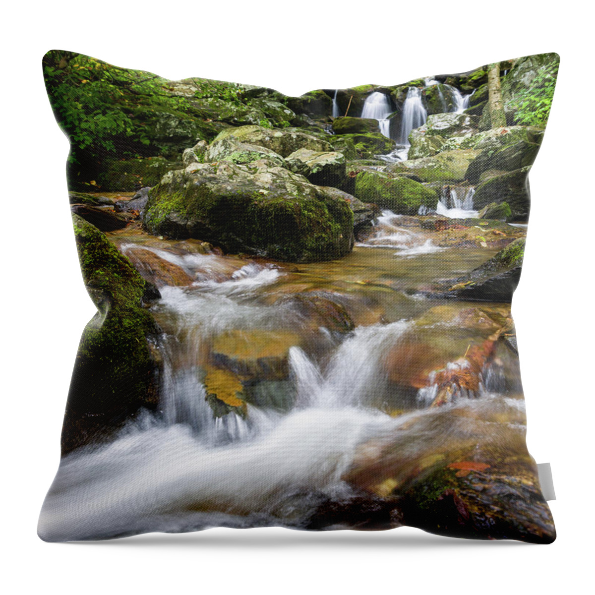 Waterfall Throw Pillow featuring the photograph Hogcamp Branch Falls I by William Dickman