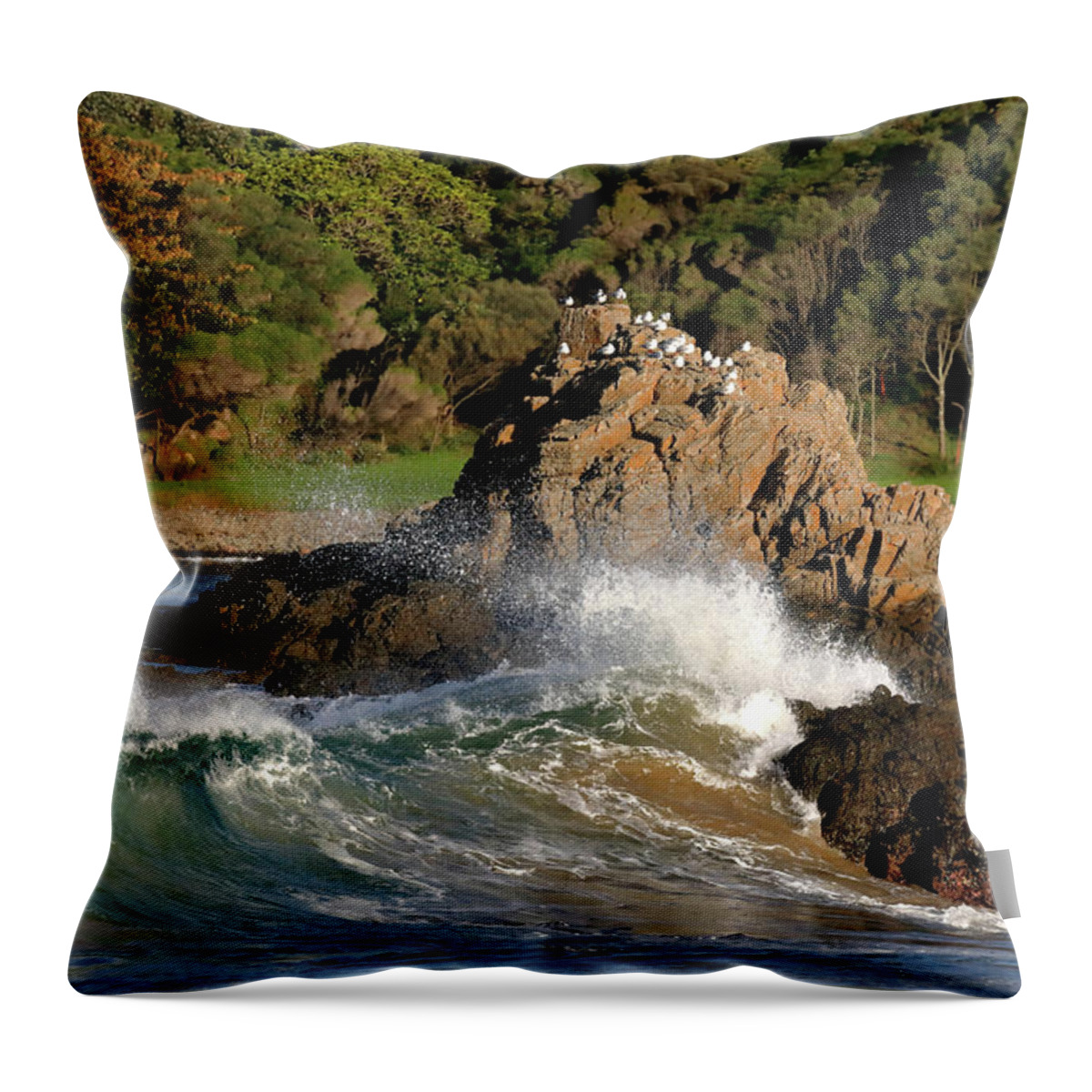 Holdfast Throw Pillow featuring the photograph Holdfast by Nicholas Blackwell