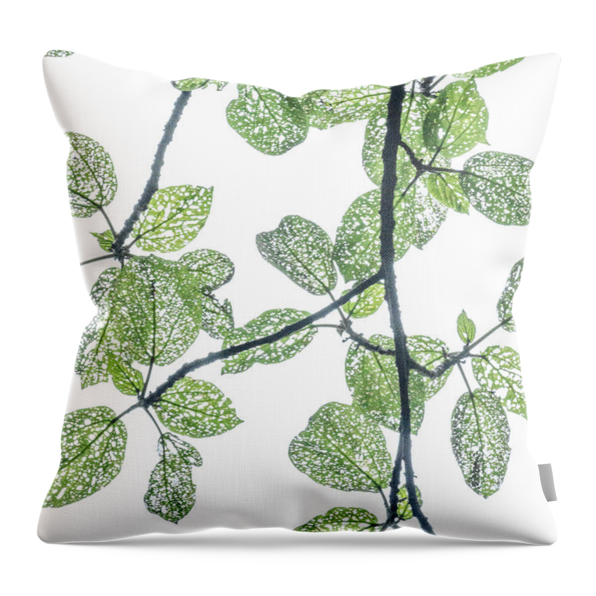 Holey Throw Pillow featuring the photograph Holey leaves by Jean Booth
