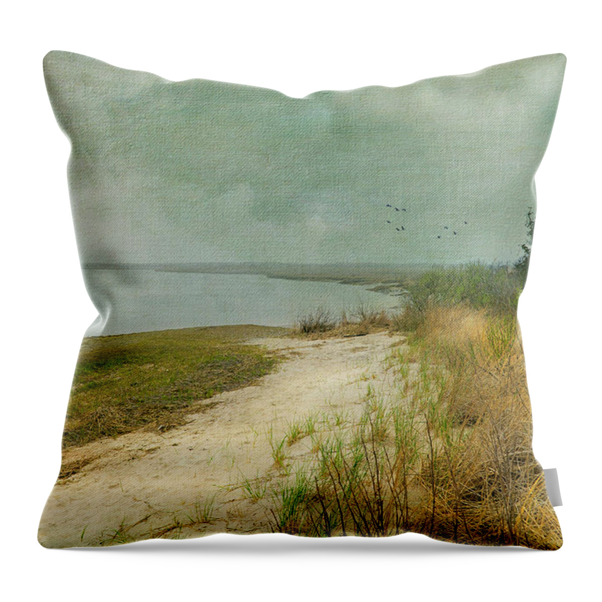 Landscape Throw Pillow featuring the photograph Home by the Sea by John Rivera