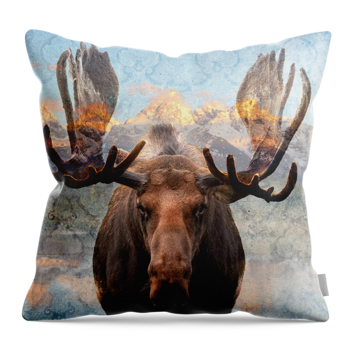 Moose Throw Pillow featuring the photograph Hometown Moose by Mary Hone