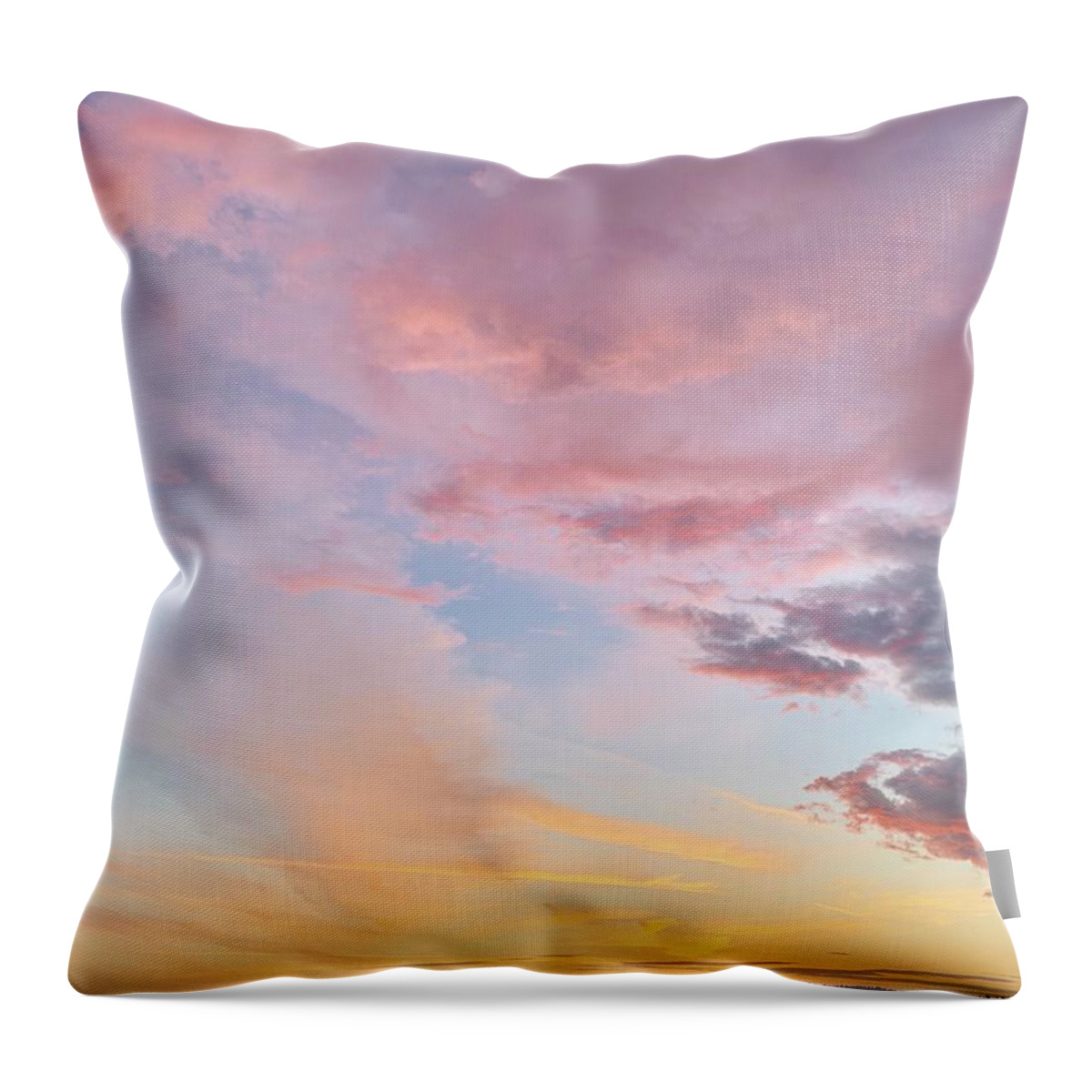 Photography Throw Pillow featuring the photograph Homeward Bound by Sean Griffin