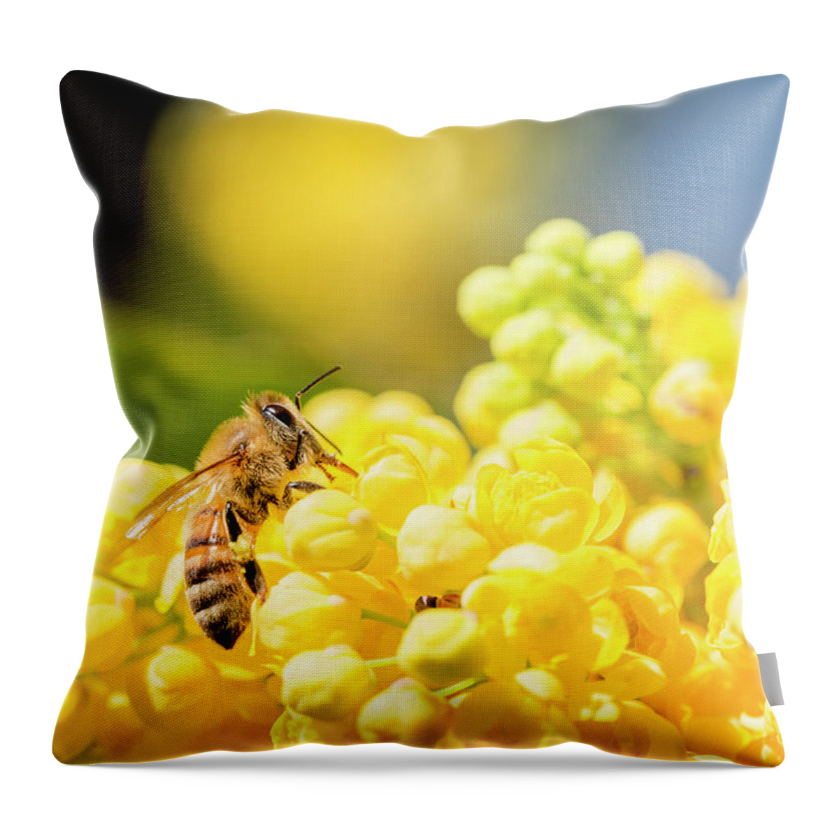 Environmental Conservation Throw Pillow featuring the photograph Honeybee by Mauro grigollo