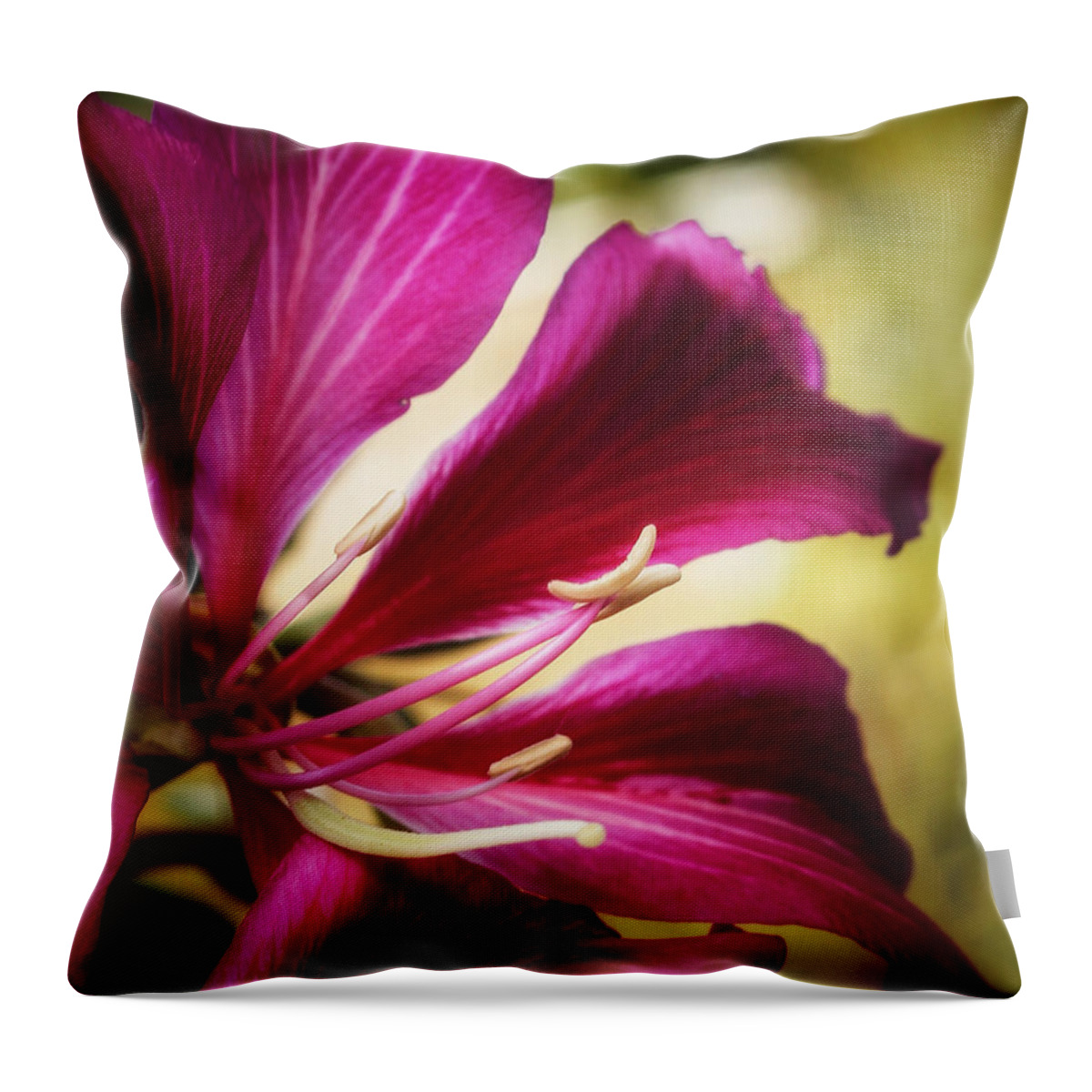 Florida Throw Pillow featuring the photograph Hong Kong Orchid by Brenda Wilcox aka Wildeyed n Wicked