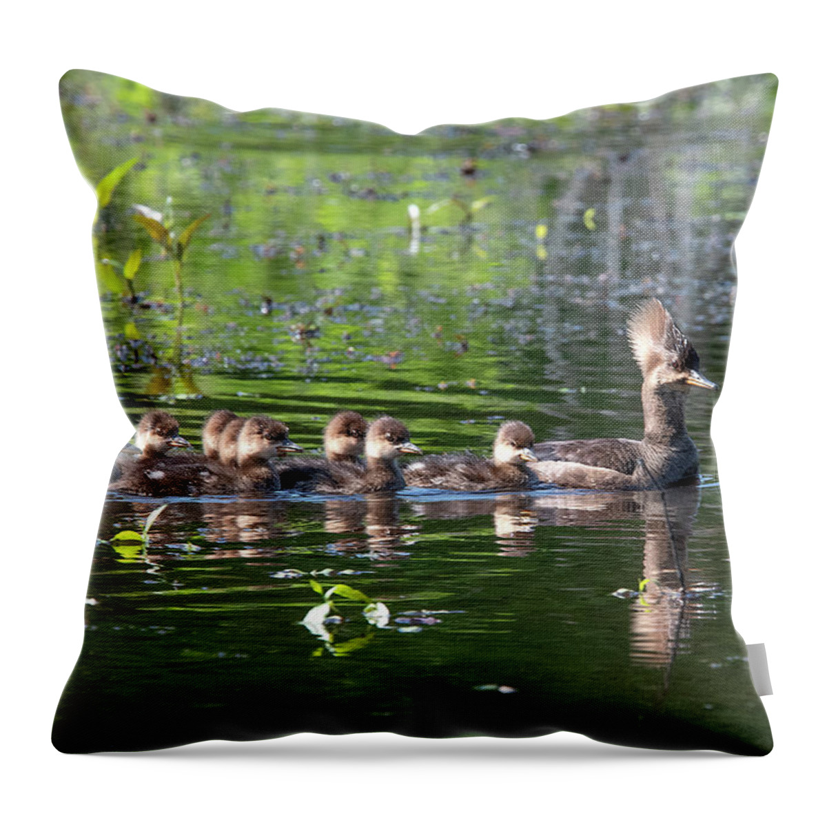 Nature Throw Pillow featuring the photograph Hooded Merganser and Her Ducklings DWF0202 by Gerry Gantt