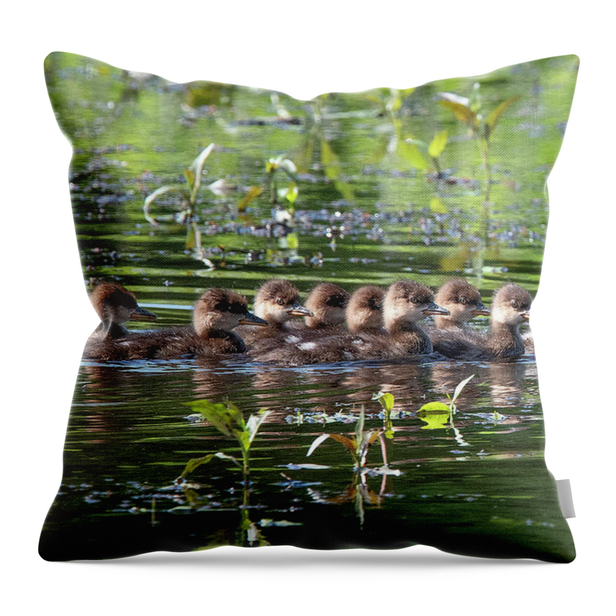 Nature Throw Pillow featuring the photograph Hooded Merganser Ducklings DWF0203 by Gerry Gantt