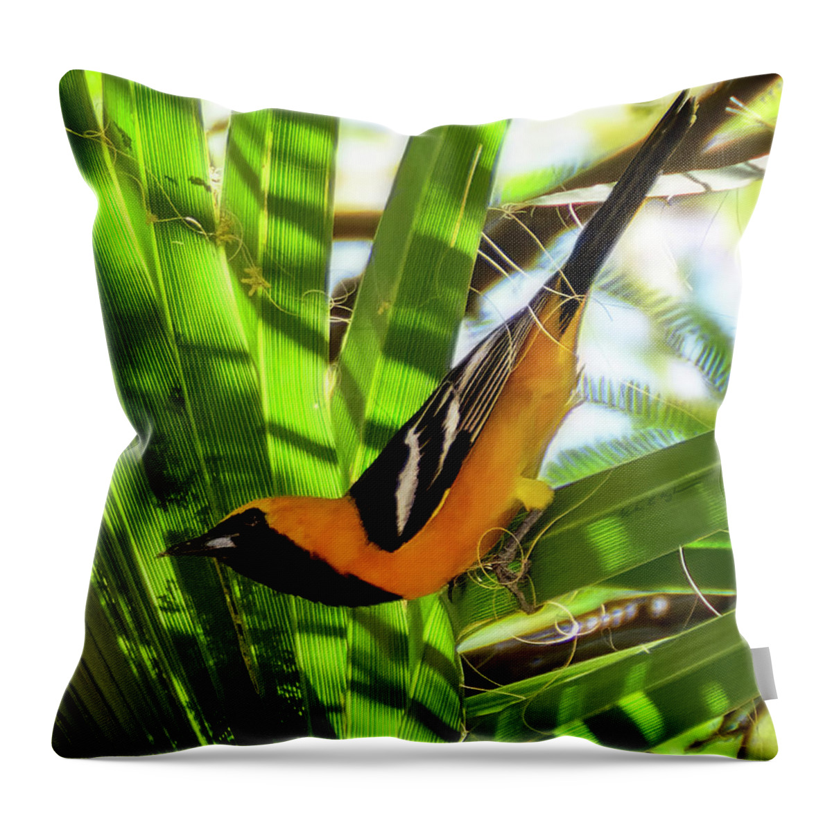 Hooded Oriole Throw Pillow featuring the photograph Hooded Oriole v1912 by Mark Myhaver