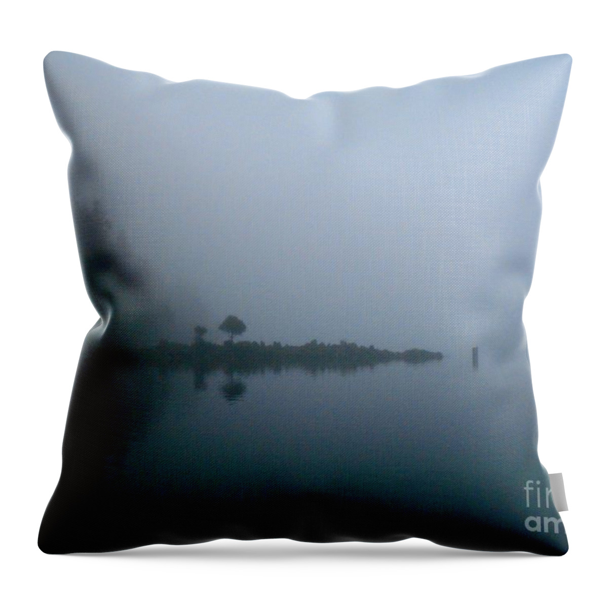 Hornby Island Throw Pillow featuring the photograph Hornby Island Fog by John Lyes