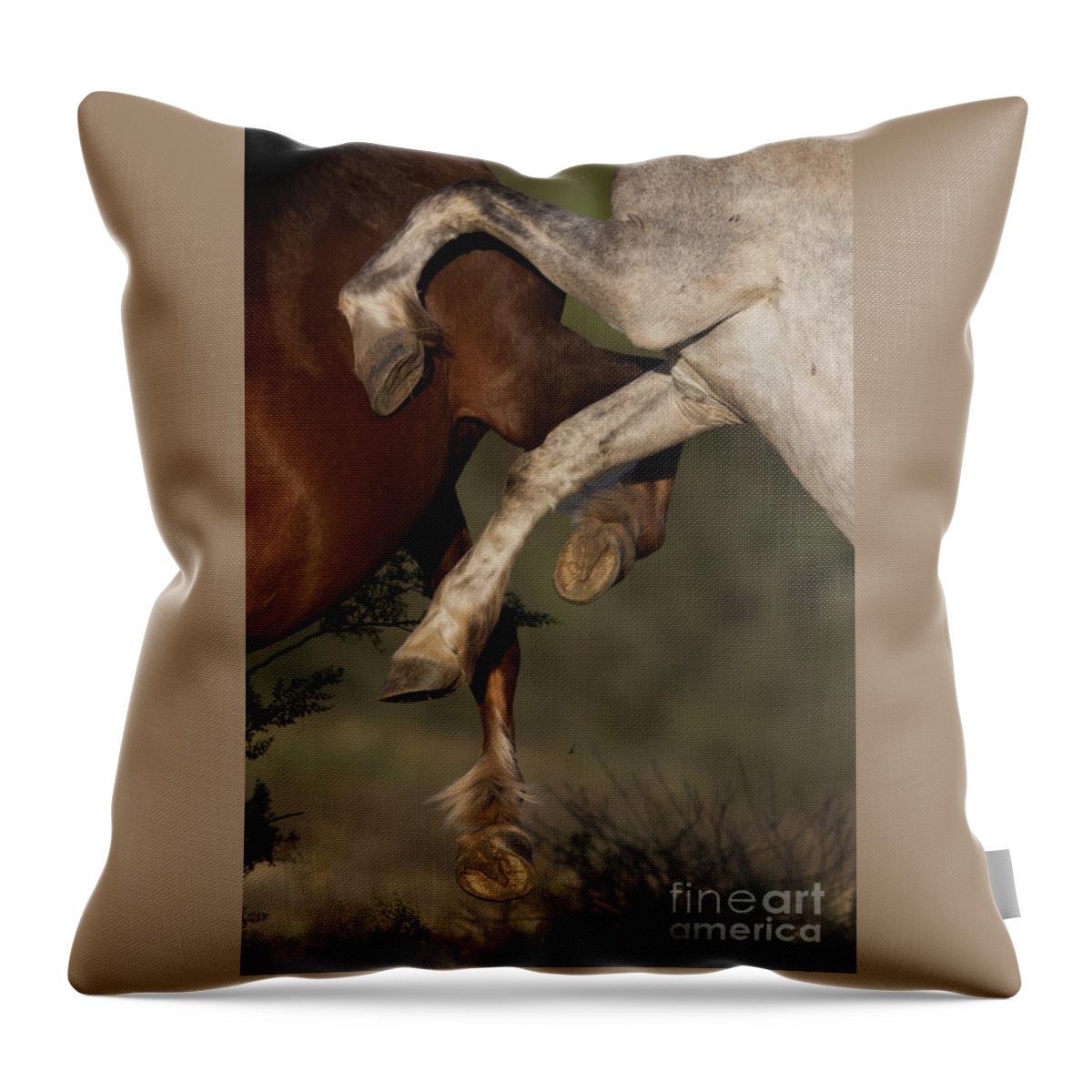 Action Throw Pillow featuring the photograph Horse Ballet by Shannon Hastings