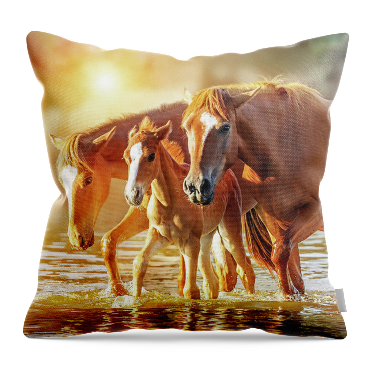 Horse Throw Pillow featuring the photograph Horse Family Walking in Lake at Sunrise by Good Focused