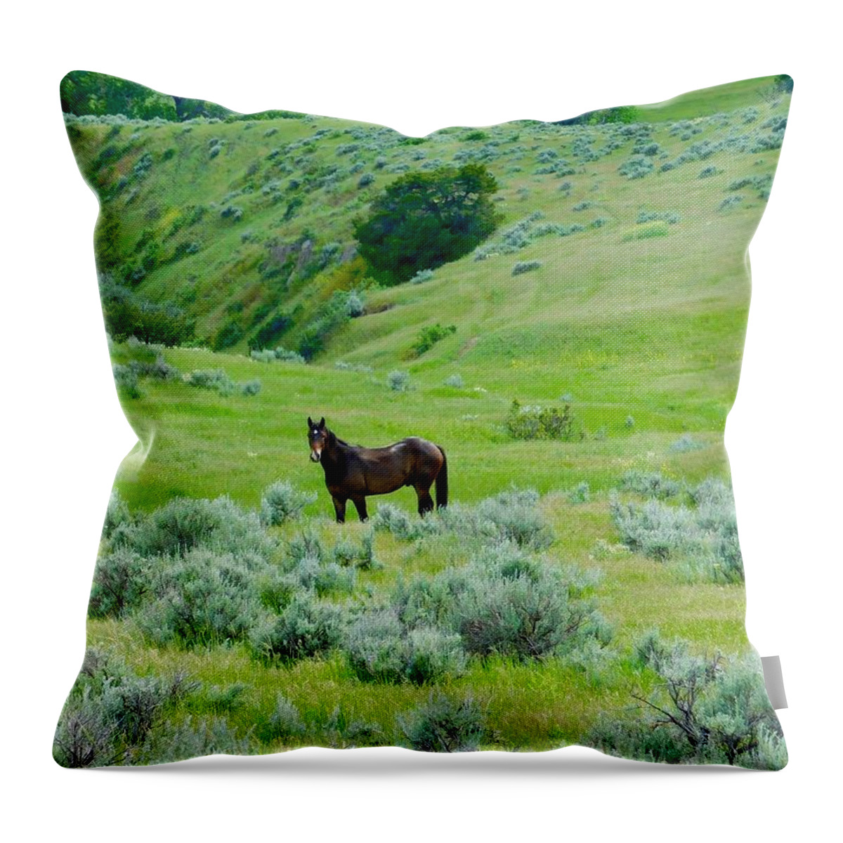 Horse Throw Pillow featuring the photograph Horse in the Little Bighorn Valley by Dan Miller