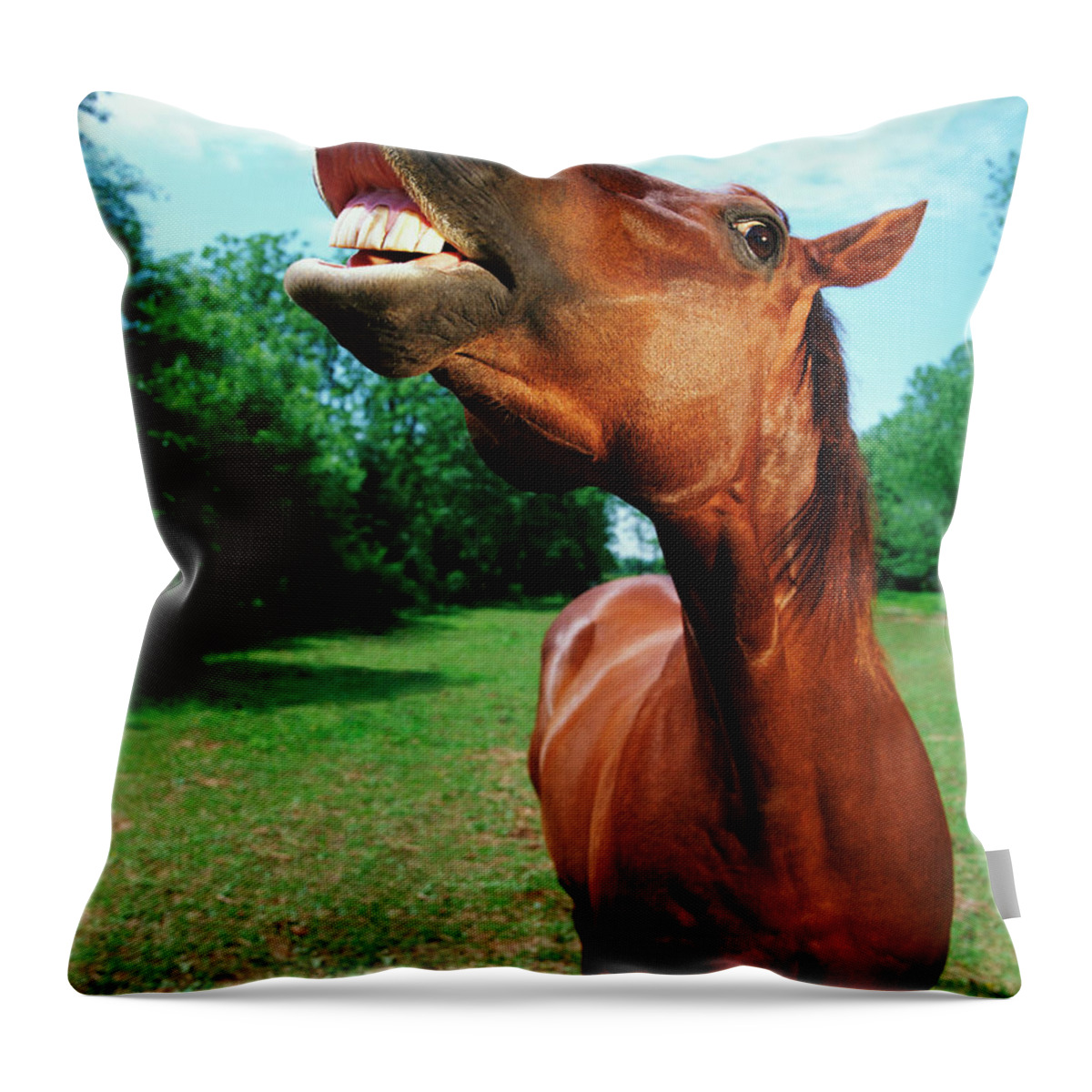 Horse Throw Pillow featuring the photograph Horse Neighing by Digital Vision.
