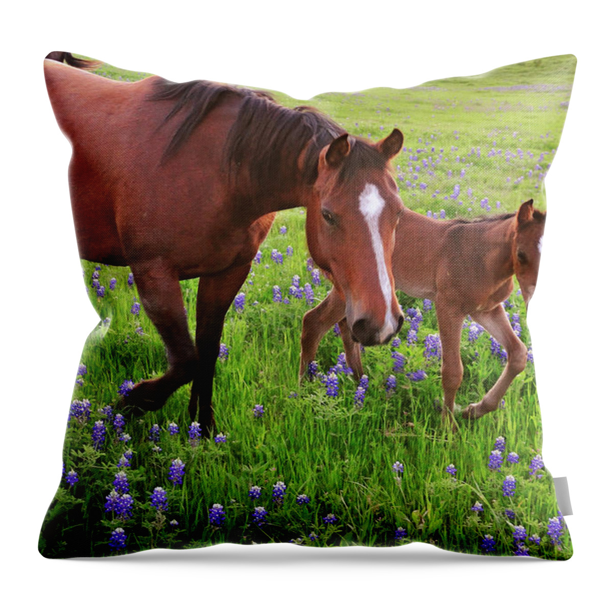 Horse Throw Pillow featuring the photograph Horse On Bluebonnet Trail by David Hensley