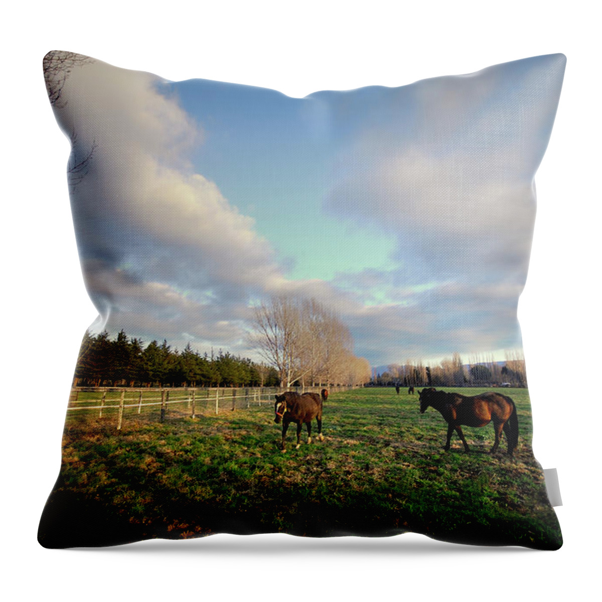 Horse Throw Pillow featuring the photograph Horse Ranch by Sstop