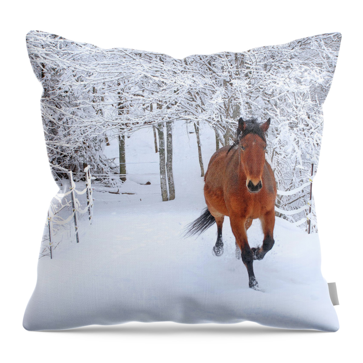 Horse Throw Pillow featuring the photograph Horse Trotting Through Fresh by Anne Louise Macdonald Of Hug A Horse Farm