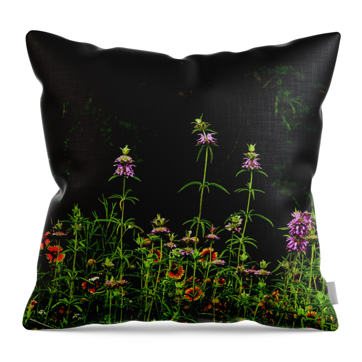 Texas Wildflowers Throw Pillow featuring the photograph Horsemint Tall by Johnny Boyd