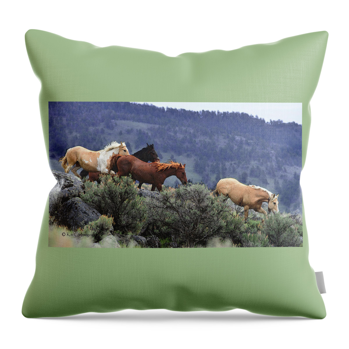 Equines Throw Pillow featuring the photograph Horses On A Downhill Run by Kae Cheatham