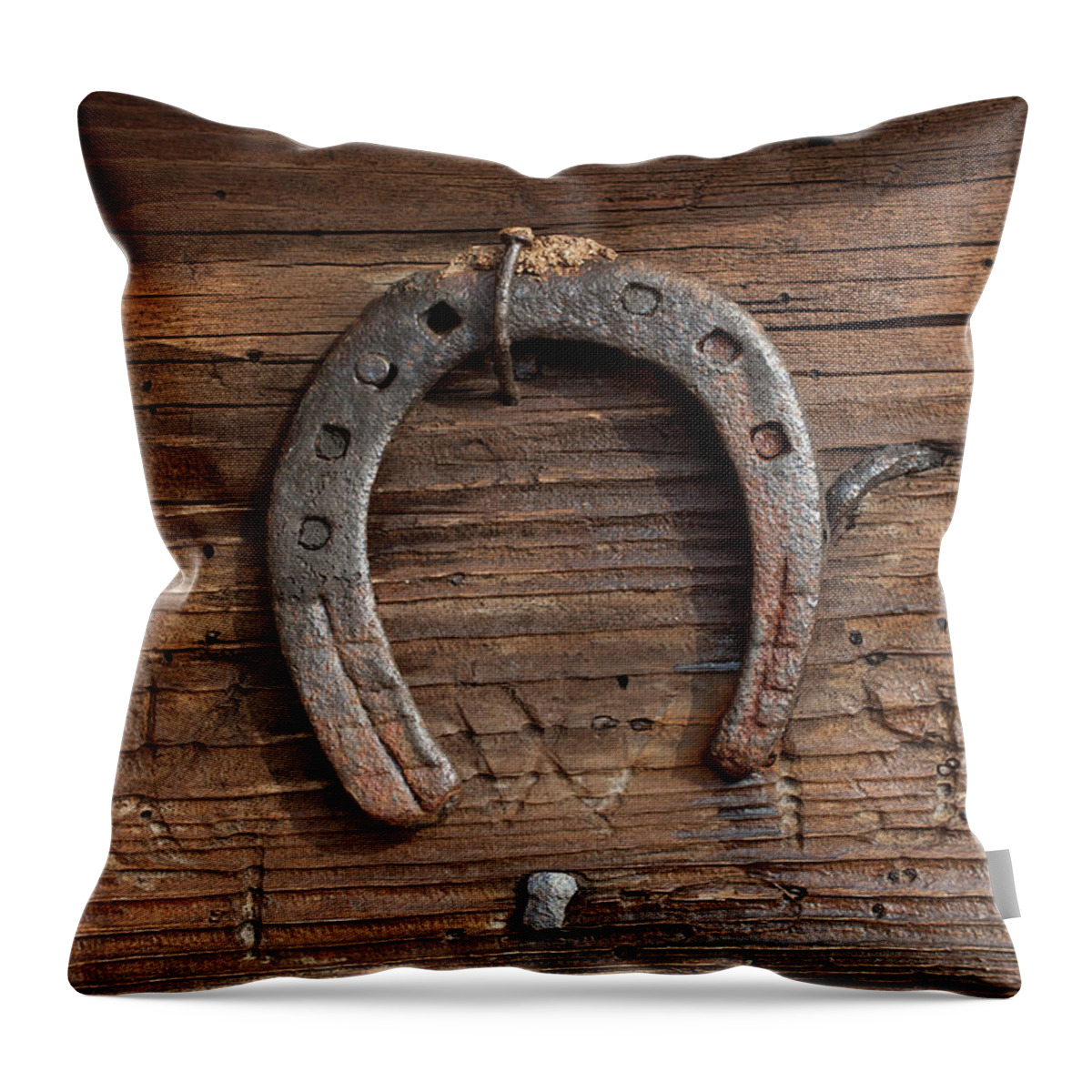 Horse Throw Pillow featuring the photograph Horseshoe by Malerapaso
