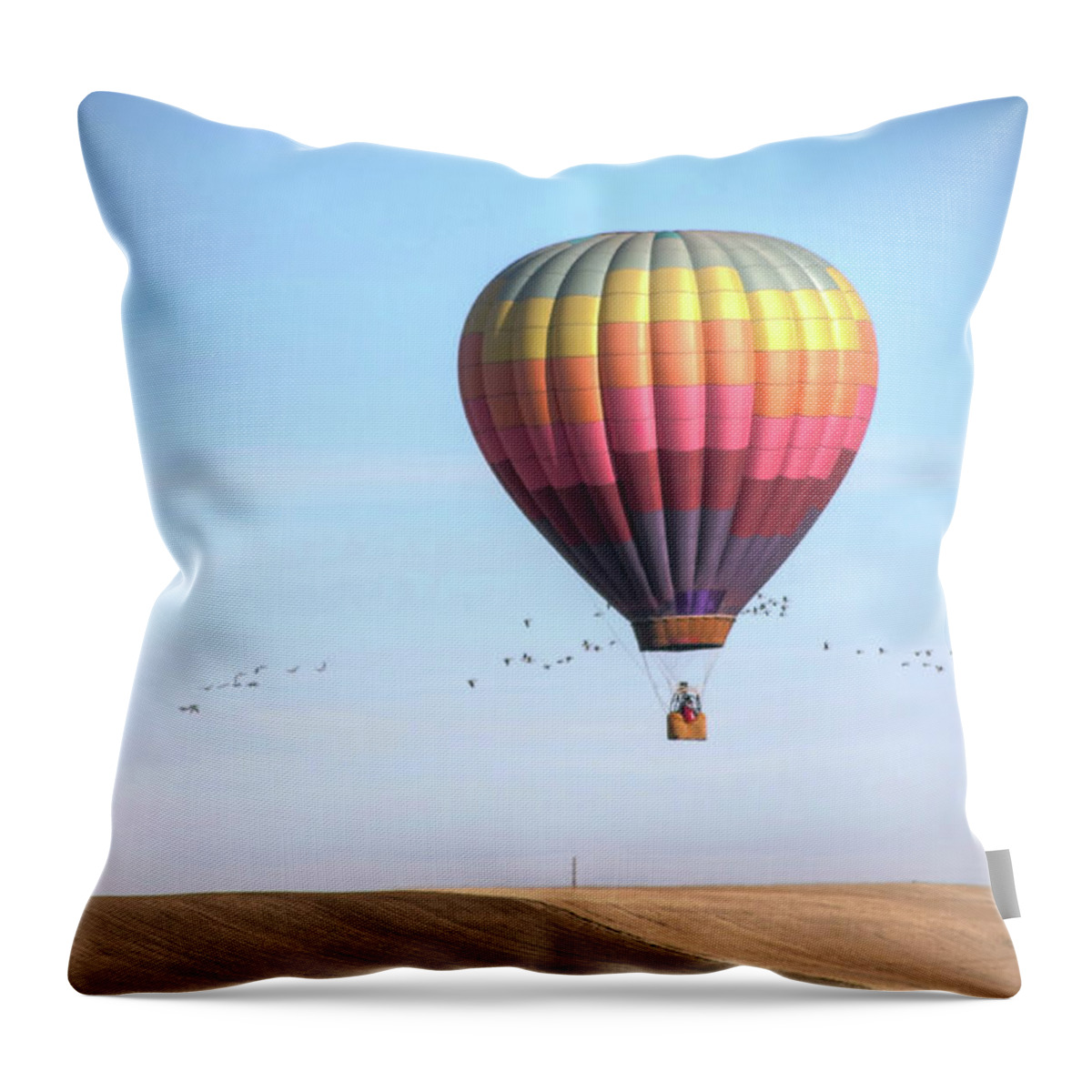 Animal Themes Throw Pillow featuring the photograph Hot Air Balloon And Birds by Photo By Greg Thow