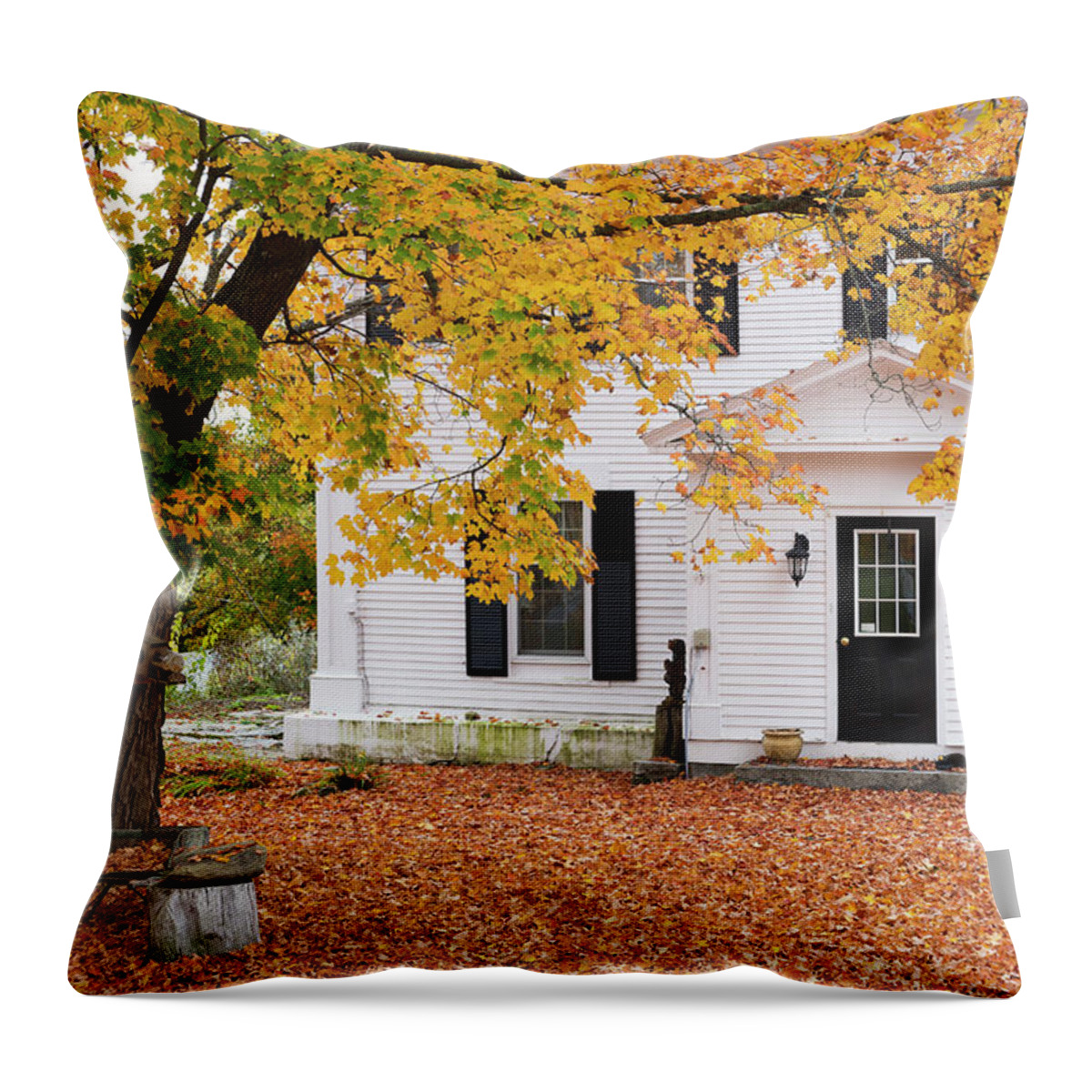 Estock Throw Pillow featuring the digital art House & Tree In Autumn Colors by Tim Mannakee