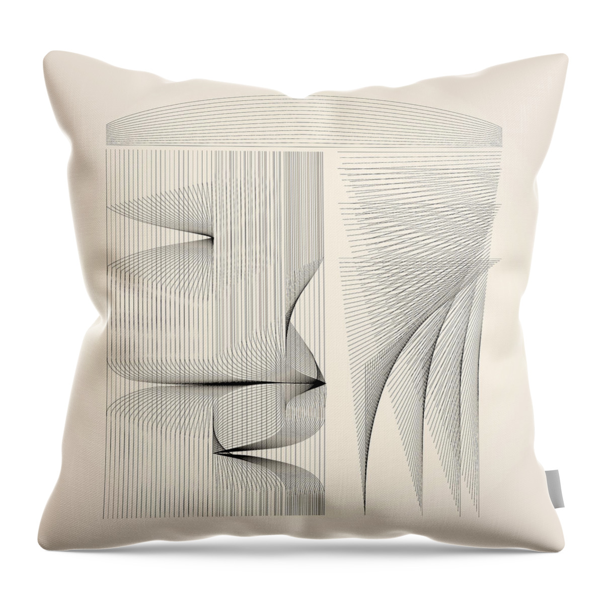Digital Throw Pillow featuring the digital art House by Kevin McLaughlin