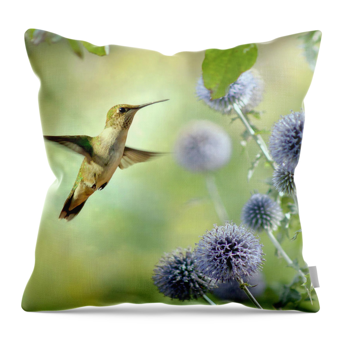 Animal Themes Throw Pillow featuring the photograph Hovering Hummingbird by Nancy Rose