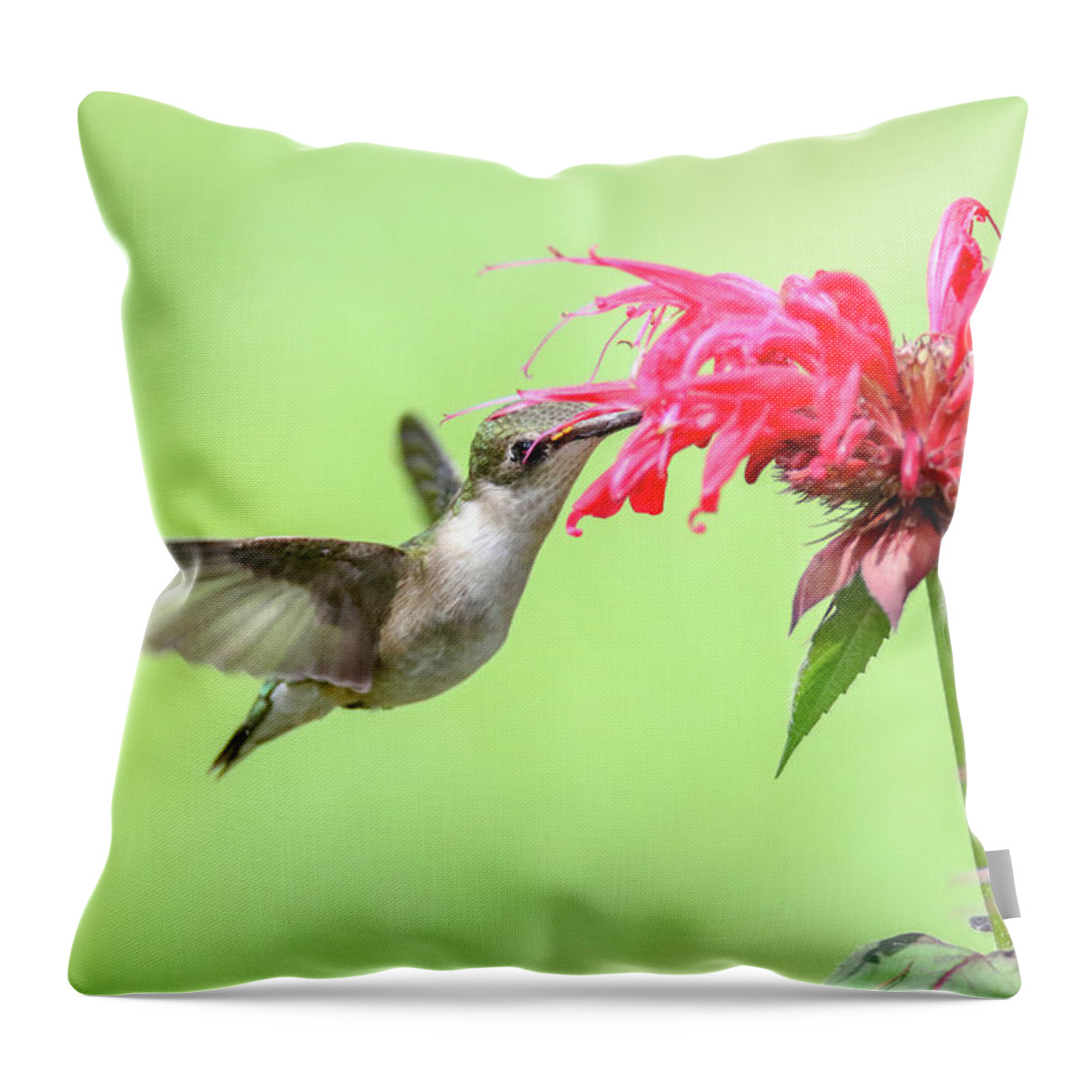 Hummingbird Throw Pillow featuring the photograph Hummingbird And Bee Balm 1 by Brook Burling