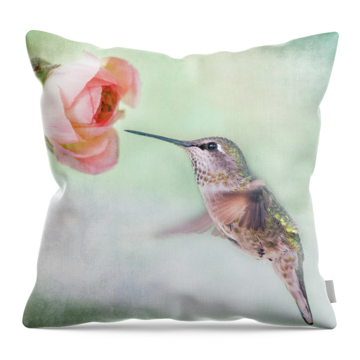 Animal Themes Throw Pillow featuring the photograph Hummingbird And Ranunculus by Susangaryphotography