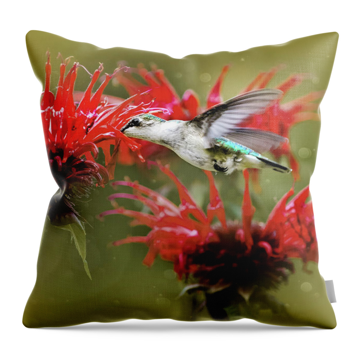 Bird Throw Pillow featuring the photograph Hummingbird Angel by Christina Rollo