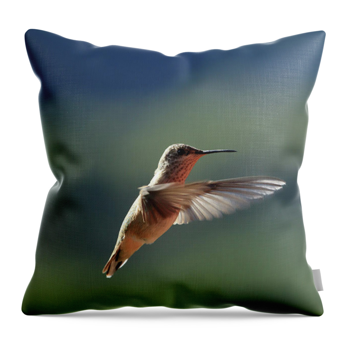 Bird Throw Pillow featuring the photograph Hummingbird by David Diaz