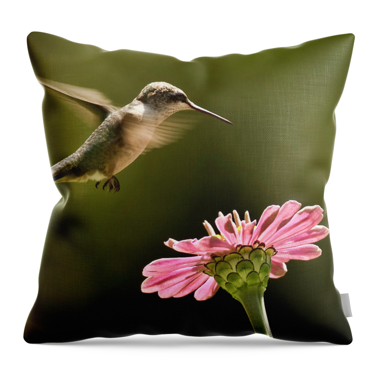 One Animal Throw Pillow featuring the photograph Hummingbird by Jody Trappe Photography
