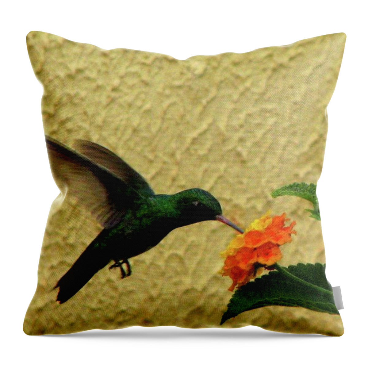 Animal Themes Throw Pillow featuring the photograph Hummingbird by Vi Lima