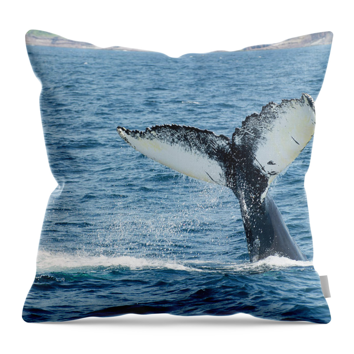One Animal Throw Pillow featuring the photograph Humpback Whale Megaptera Novaeangliae by Aluma Images