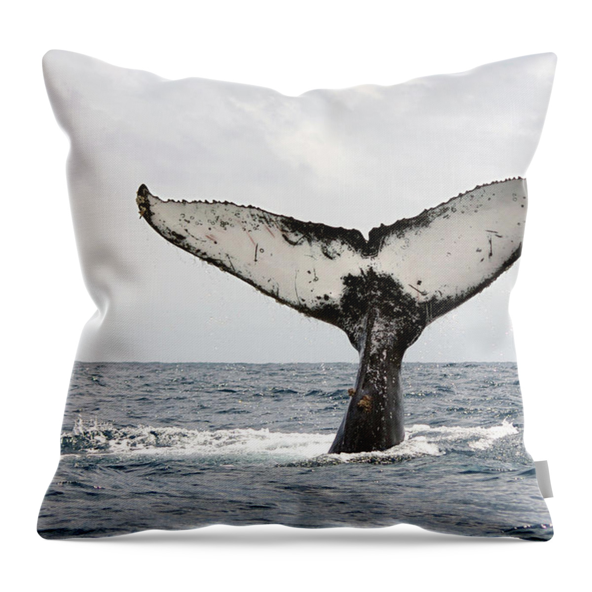 Animal Themes Throw Pillow featuring the photograph Humpback Whale Tail by Photography By Jessie Reeder