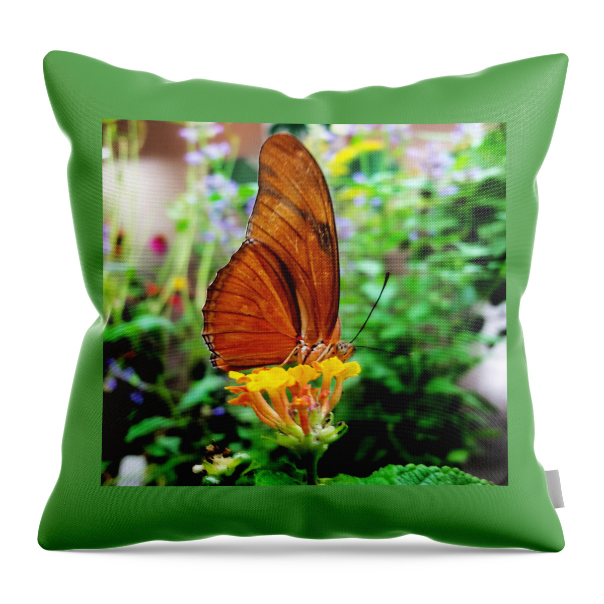 Butterfly Throw Pillow featuring the mixed media Hungry Orange Butterfly by Ally White