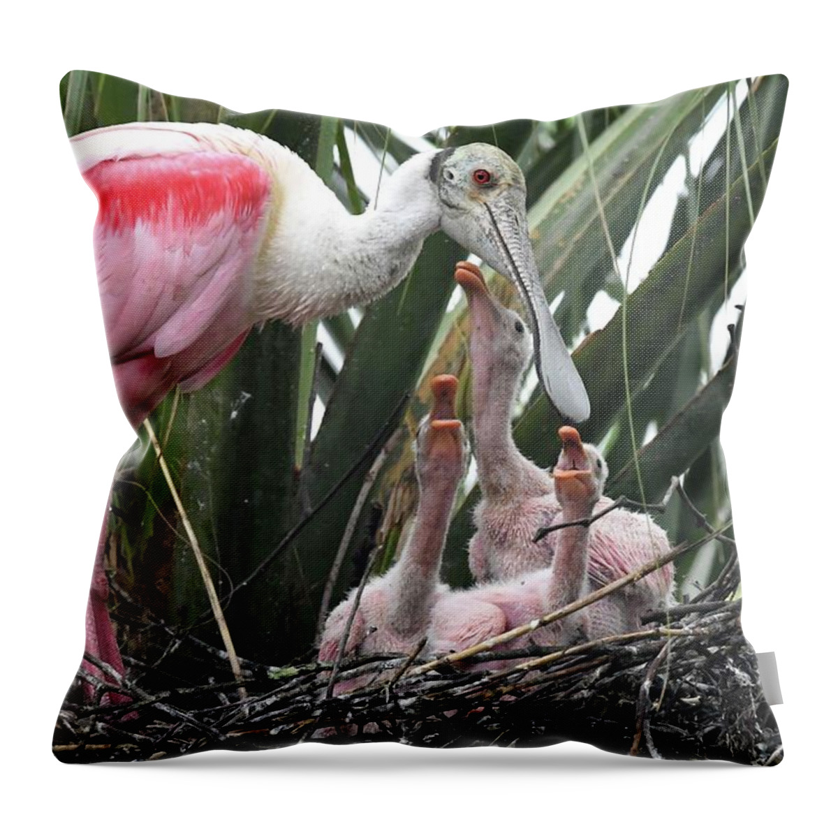Roseate Spoonbill Throw Pillow featuring the photograph Hungry Roseate Spoonbills by Jim Bennight