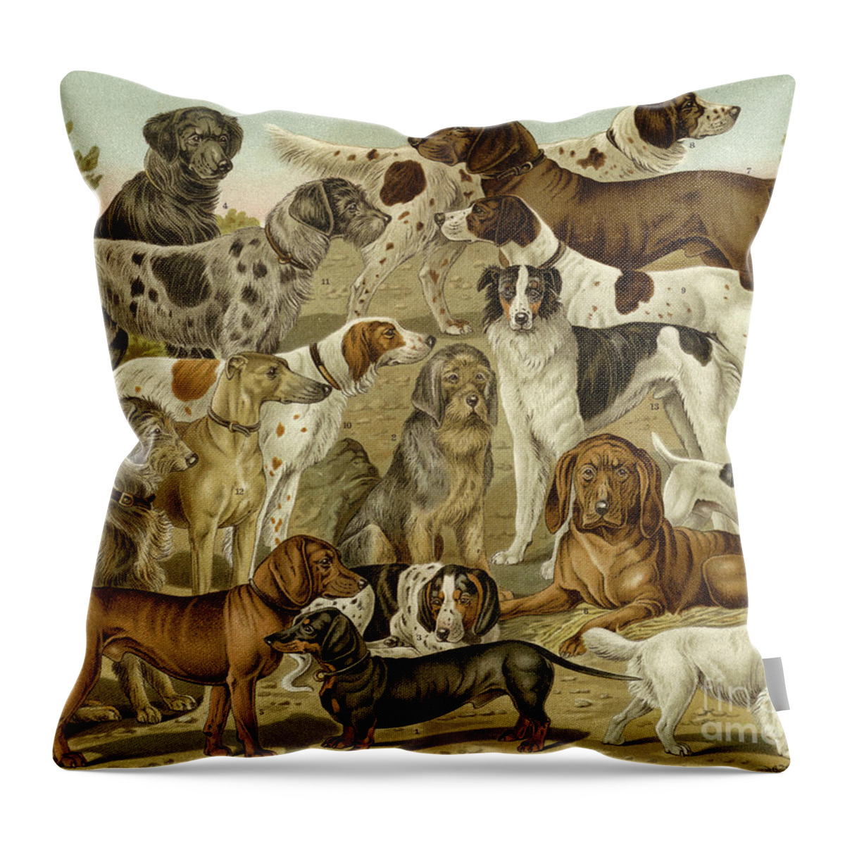 Hunting Dogs Throw Pillow featuring the drawing Hunting dogs by German School