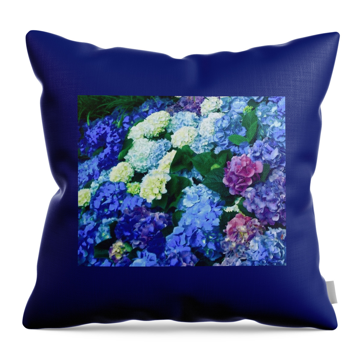 Photo Stream Throw Pillow featuring the photograph Hydrangeas to the Left by Debra Grace Addison