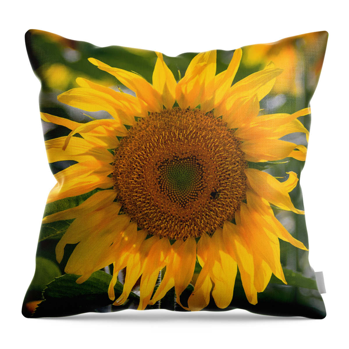 Heart Throw Pillow featuring the photograph I Heart Sunflowers by Linda Bonaccorsi