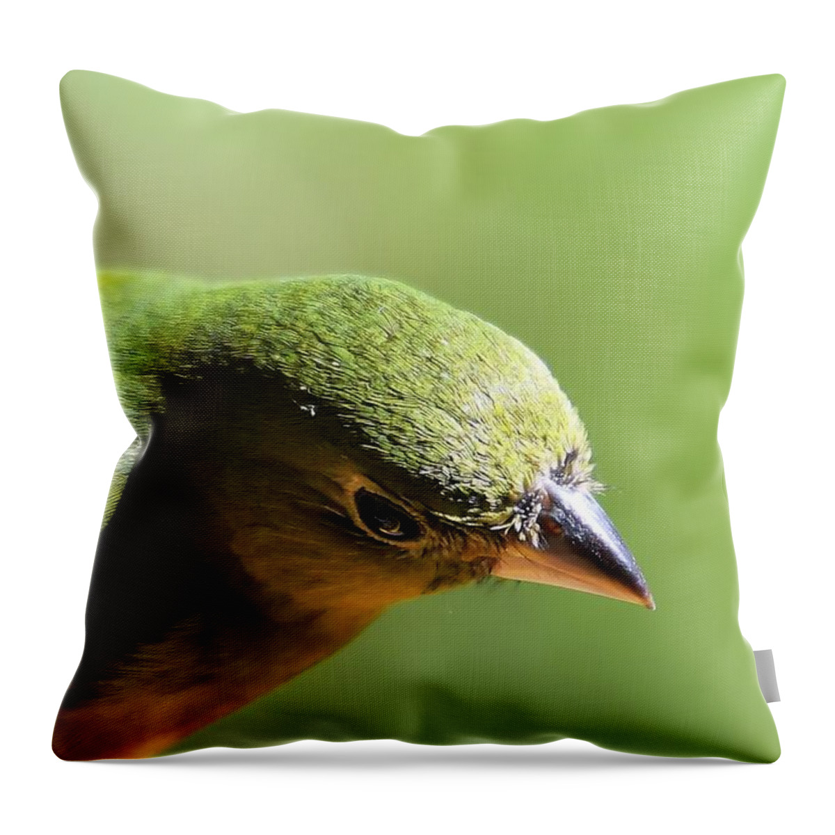 Painted Bunting Throw Pillow featuring the photograph I See Green A Painted Bunting by T Lynn Dodsworth