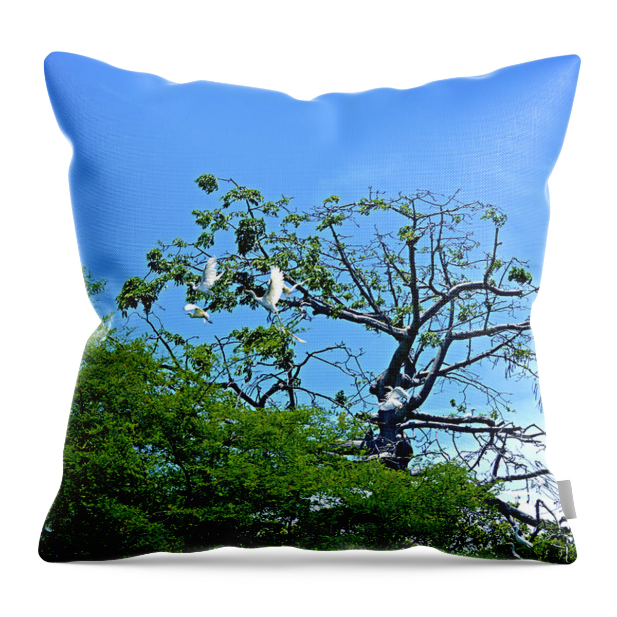 Cattle Egret Throw Pillow featuring the photograph Ibis Risen by Climate Change VI - Sales