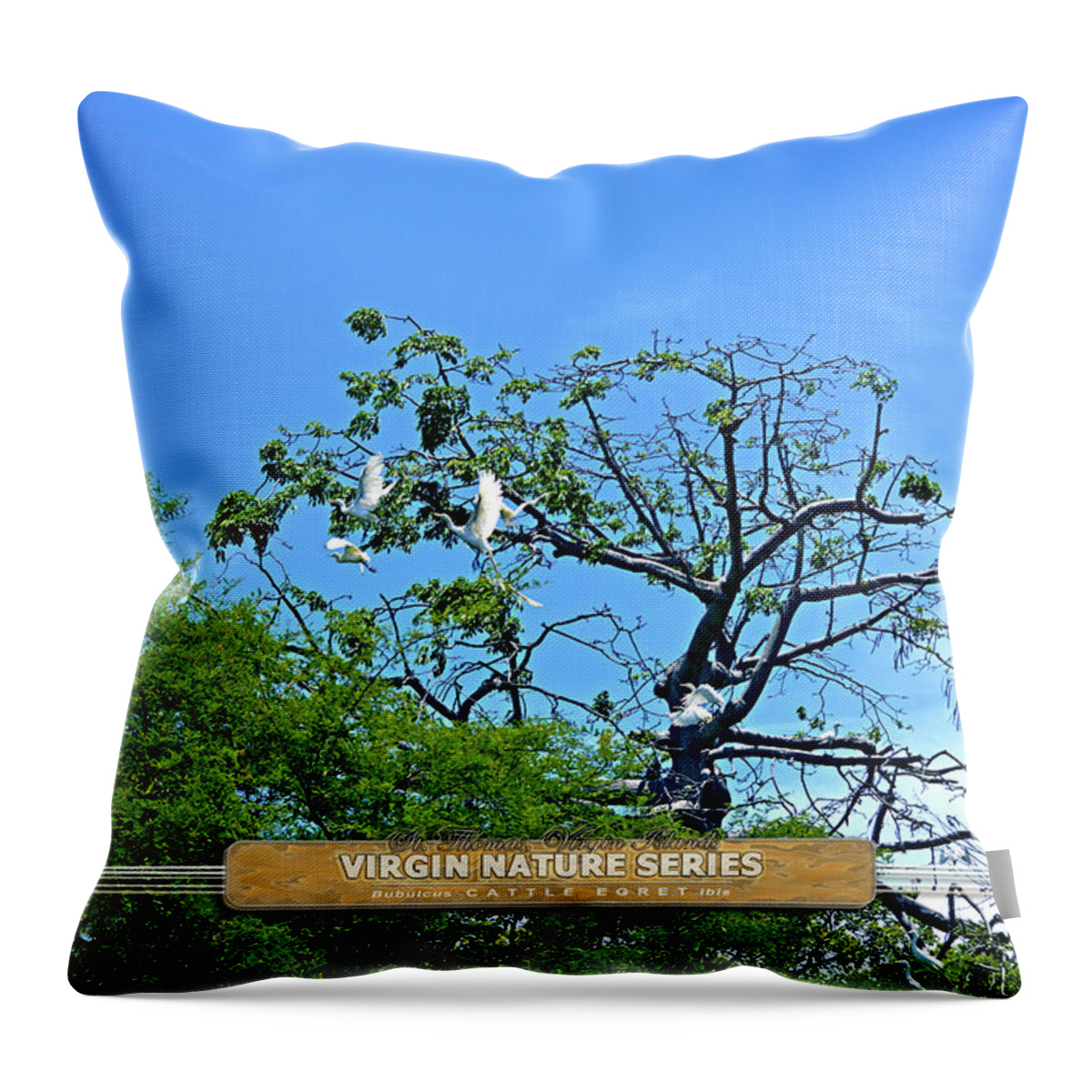 Cattle Egret Throw Pillow featuring the photograph Ibis Risen - Virgin Nature Series by Climate Change VI - Sales