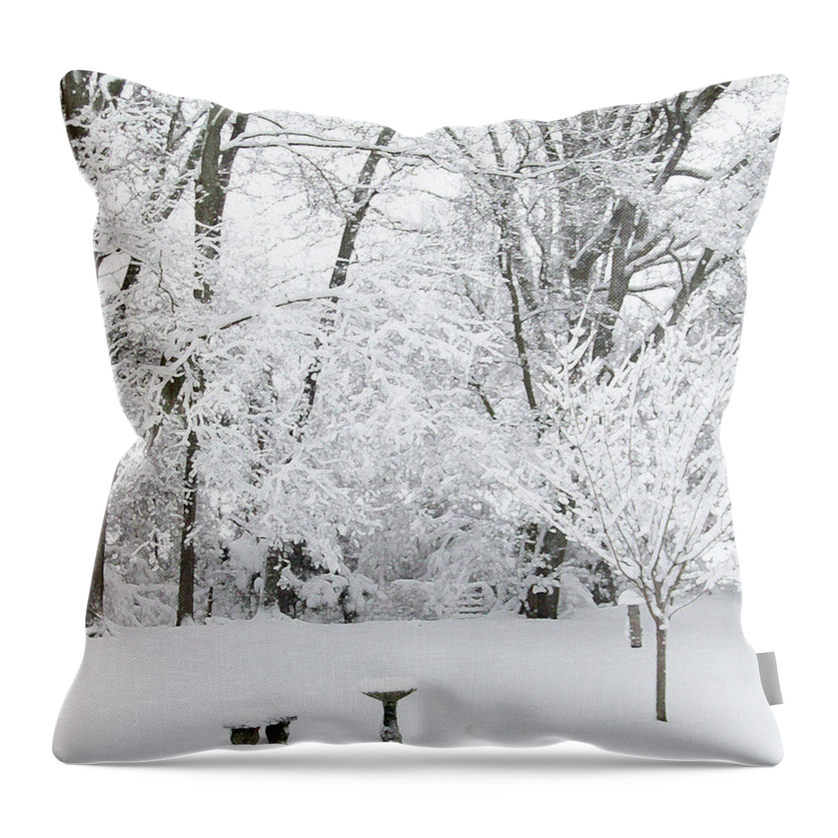 White Throw Pillow featuring the mixed media Ice and Snow2 by Belinda Landtroop