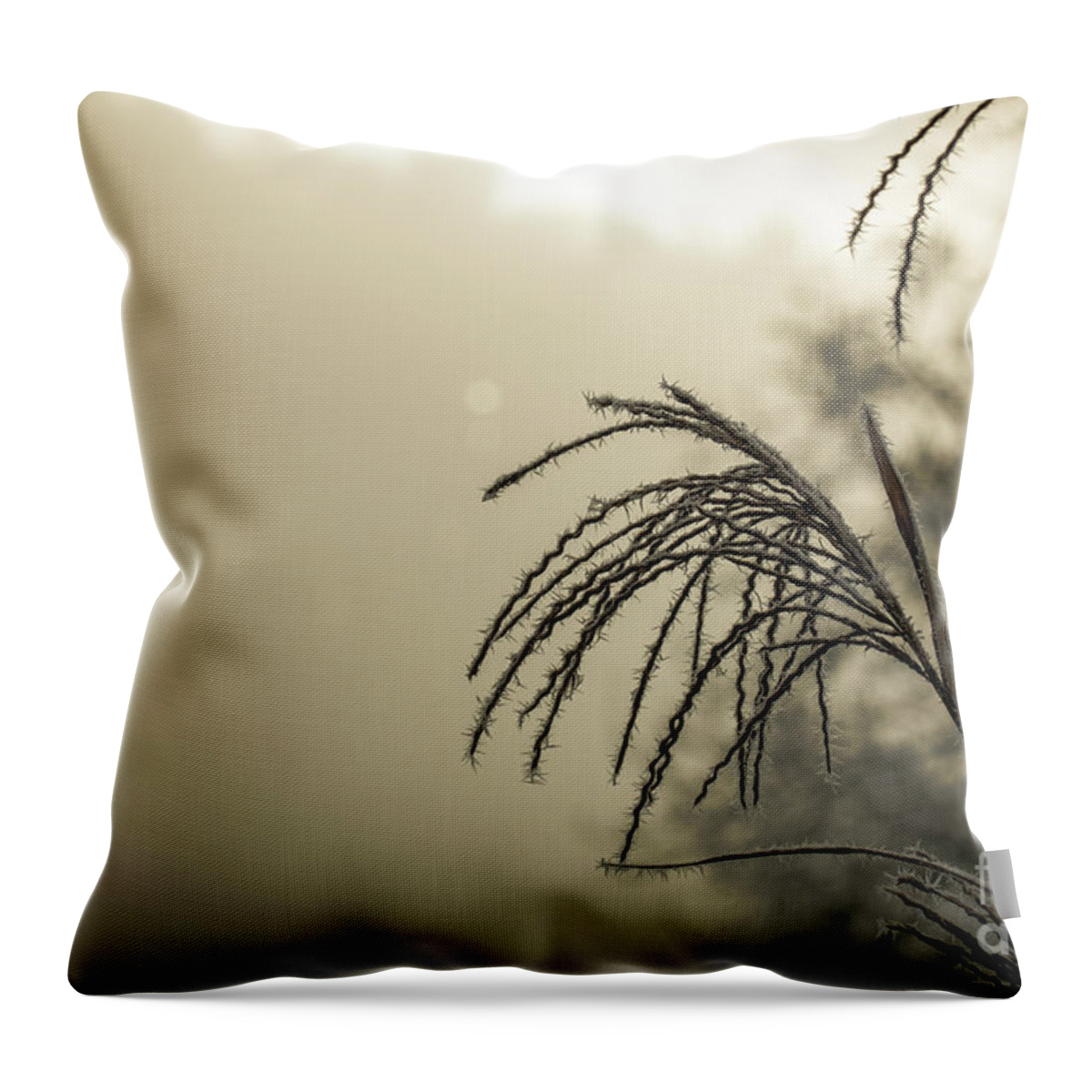 Autumn Throw Pillow featuring the photograph Ice Crystals around frosted plant in winter with white space by Amanda Mohler
