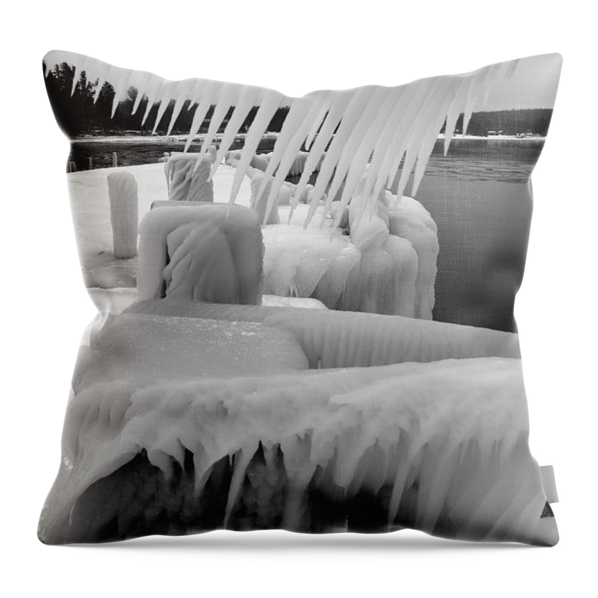 Dock Throw Pillow featuring the photograph Ice Ice and More Ice B W by David T Wilkinson