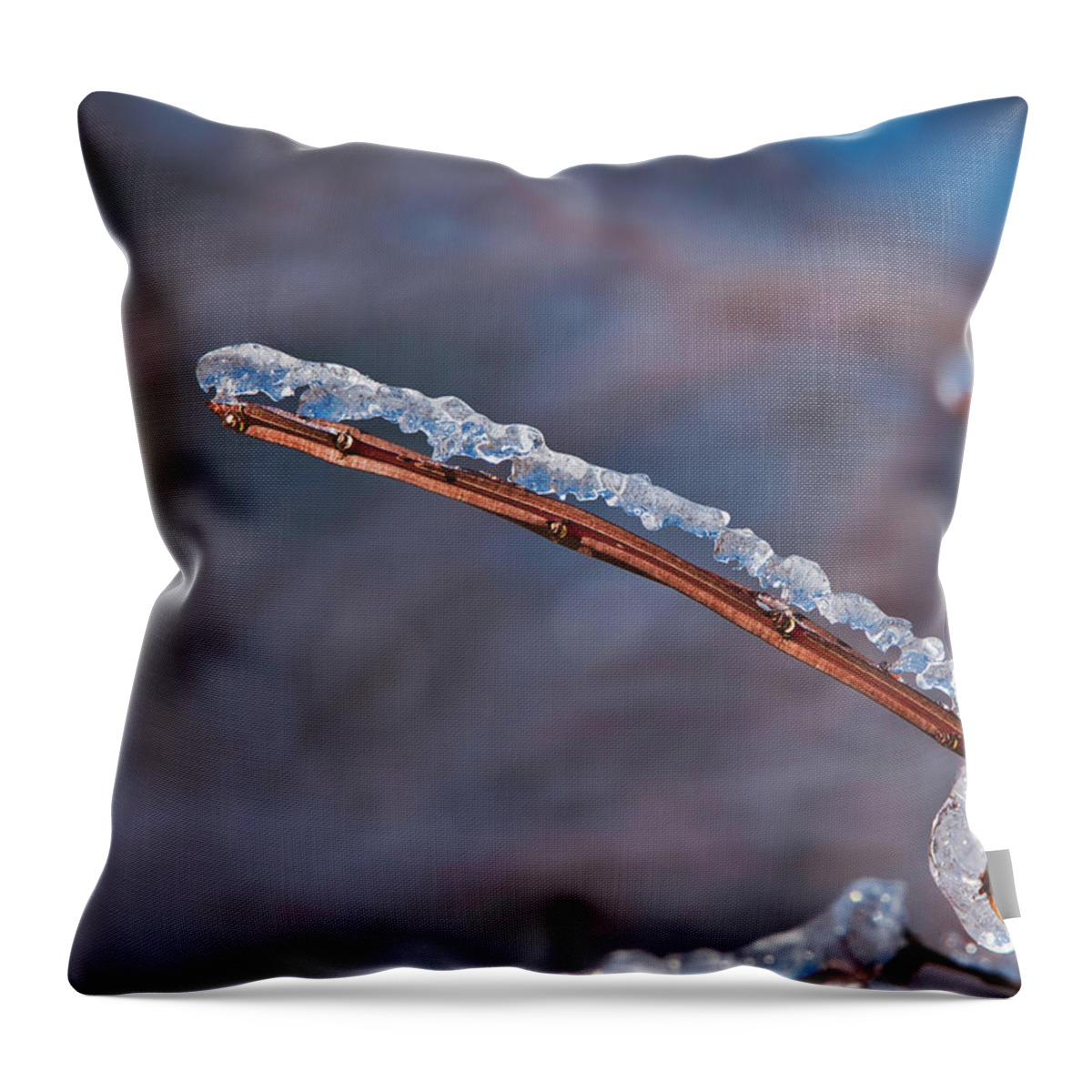 Ice Throw Pillow featuring the photograph Ice on Branch by Steven Ralser