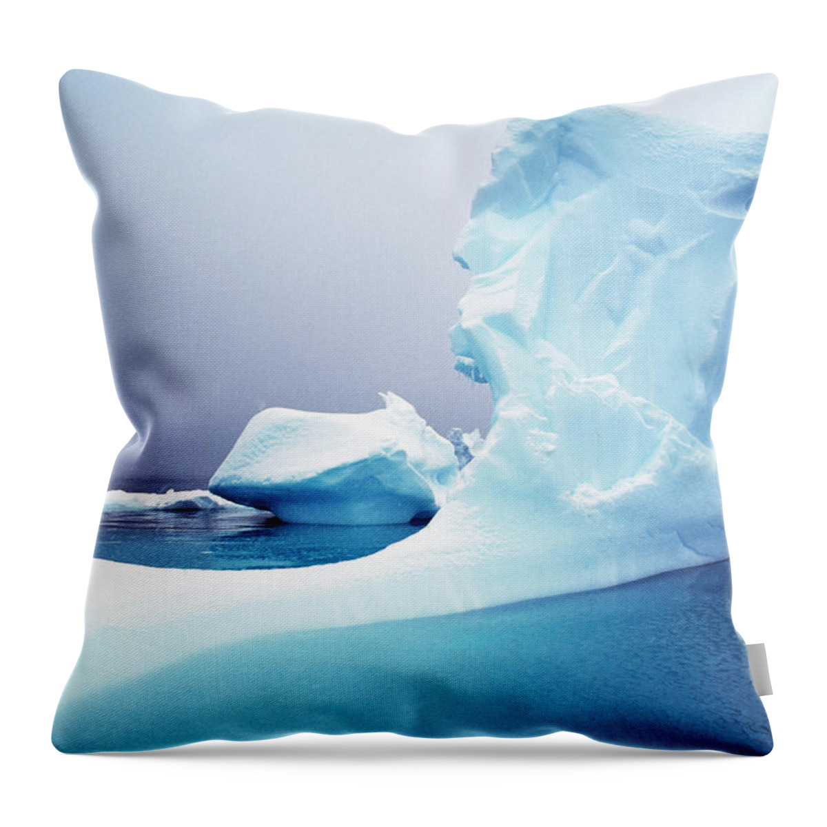 Scenics Throw Pillow featuring the photograph Icebergs Floating On Antarctic Peninsula by Alexander Nicholson